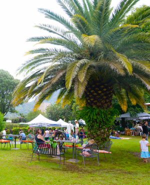 Jardin2