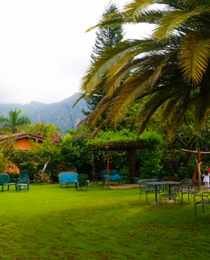 Jardin3