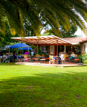 Jardin4