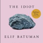 The idiot, Elif Batuman