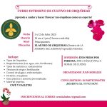 Curso intensivo de cultivo de orquídeas